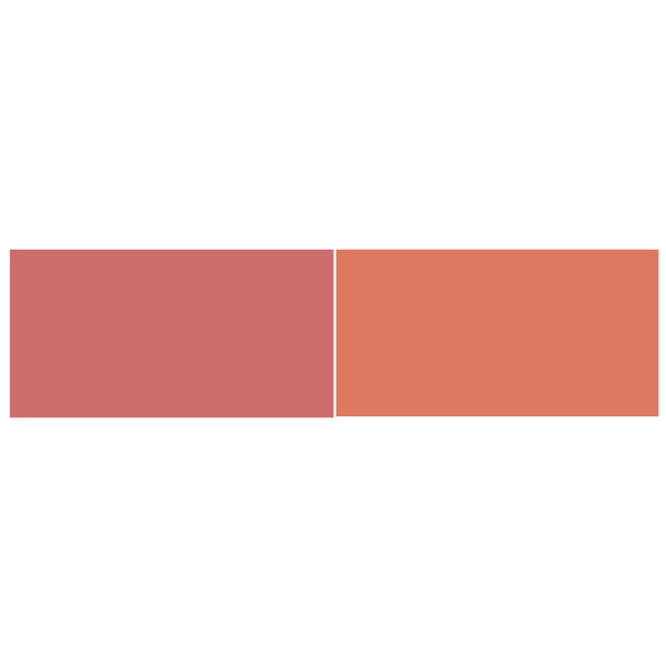Dual Blushes in Mirrored Compact - Image 2