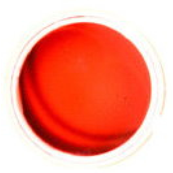 Sheer Cream Blush - Image 10