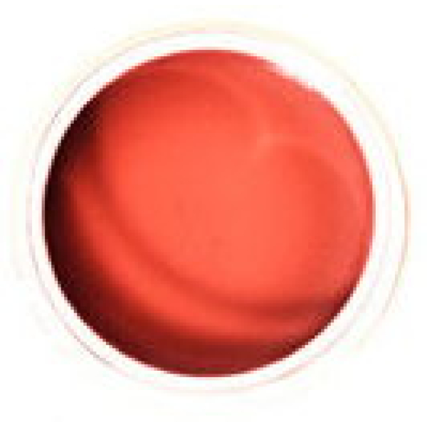 Sheer Cream Blush - Image 6